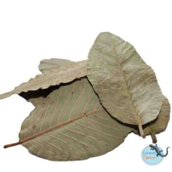 Ceramic Nature Guave Leaves 15pcs - Πρόσθετα