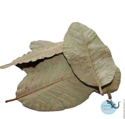 Ceramic Nature Guave Leaves 15pcs - Πρόσθετα