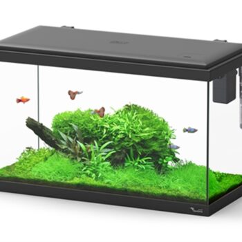 Aquatlantis Paris 60x30x34 Black - Μικρά < 60 lt