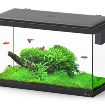 Aquatlantis Paris 60x30x34 Black - Μικρά < 60 lt
