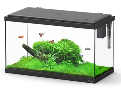Aquatlantis Paris 60x30x34 Black - Μικρά < 60 lt