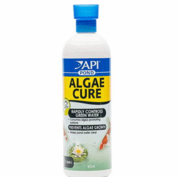 Api Pond Algae Cure 473ml - Πρόσθετα