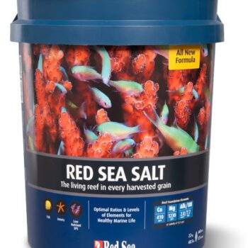 Red Sea Salt 25 kg-commercial pack