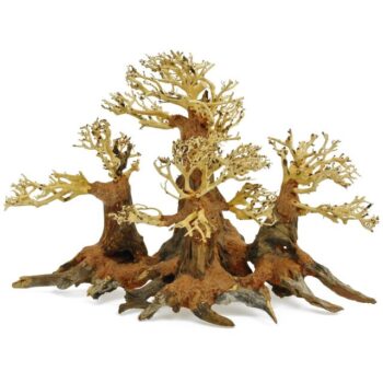 Aquadeco Forest Bonsai M 40X25 - Ξύλα