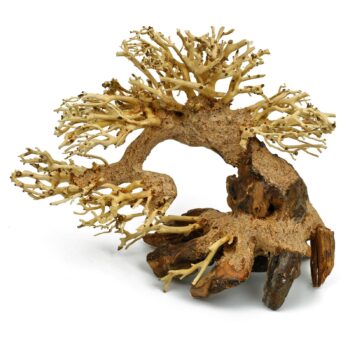 Aquadeco Aqua Bonsai M 23X30 - Ξύλα