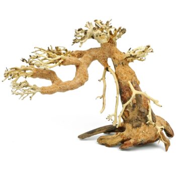 Aquadeco Aqua Bonsai S 15×20 - Ξύλα