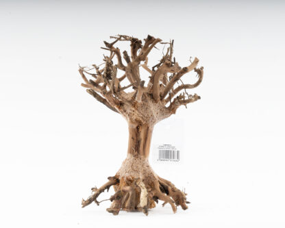 Aquadeco Mammoth Bonsai S 15×20 - Ξύλα