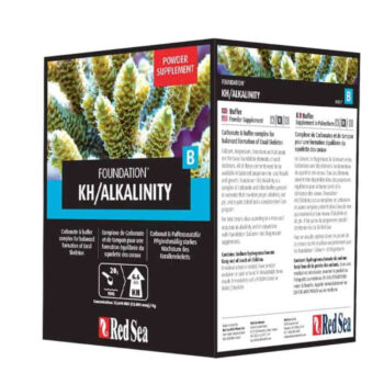 Red Sea Foundation B 1kg powder