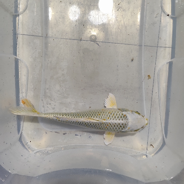 Ενυδρεία – Εξοπλισμός Ενυδρείων