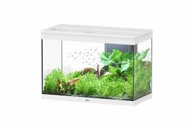 Aquatlantis Splendid 80 White 80x40x56 146lt