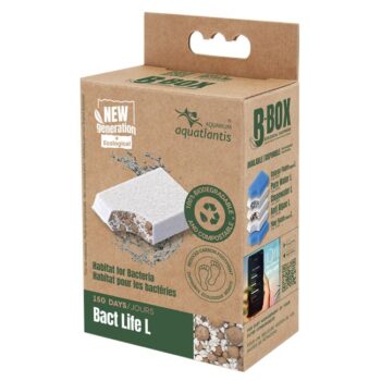Aquatlantis replacement sponce Bact Life L