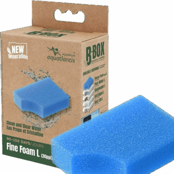 Aquatlantis replacement sponce Fine Foam L