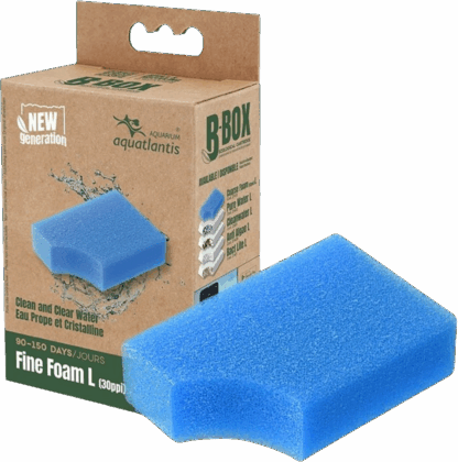Aquatlantis replacement sponce Fine Foam L