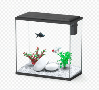 Aquatlantis Explorer Dublin 40 black 40x20x41