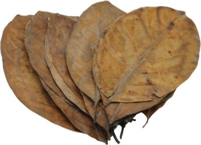 Ceramic Nature Catappa Jack leaves 20 pcs