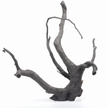 Aquadeco Black Moor Wood S 13-20cm // per piece