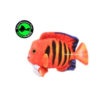 Green Pleco Flame Angel fish plush