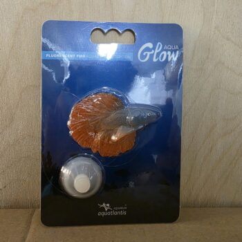 AD Glowing Betta Splenders orange