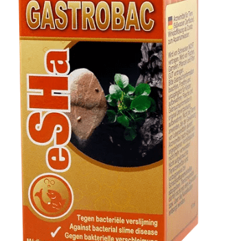 Esha Gastrobac 10ml