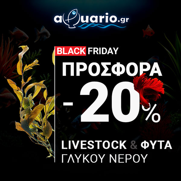 Ενυδρεία – Εξοπλισμός Ενυδρείων 2 Ενυδρεία – Εξοπλισμός Ενυδρείων