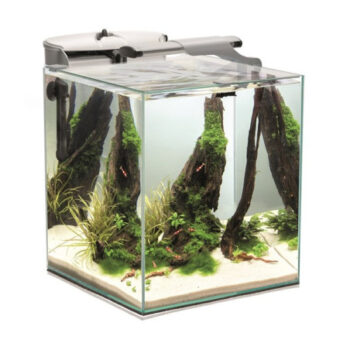 Aquael FISH&SHRIMP SET DUO D&N 35 WHITE 2.0