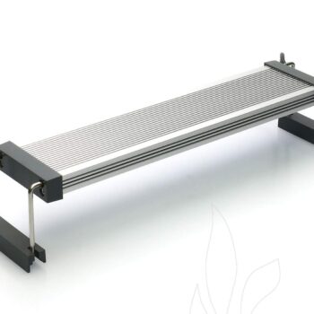 TWINSTAR Light III 60B