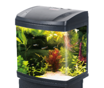 Cebo Fish Tank Black 33*22*36 B231B
