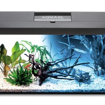 Aquael AQUARIUM SET LEDDY 75 BLACK D&N 2.0