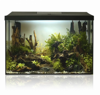 Aquael AQUARIUM SET LEDDY 60 XL BLACK D&N 2.0