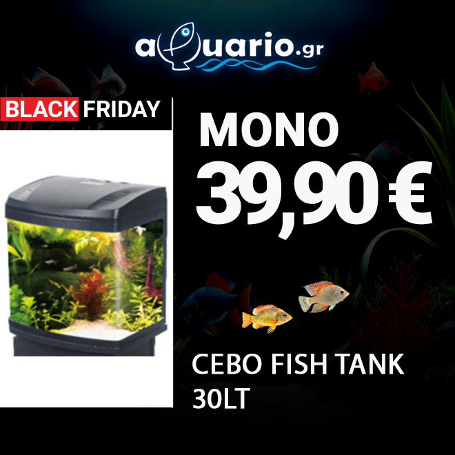 Ενυδρεία – Εξοπλισμός Ενυδρείων