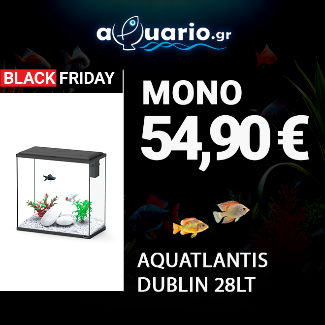 Ενυδρεία – Εξοπλισμός Ενυδρείων