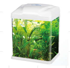 Cebo Fish Tank White 31*25*38 C300w