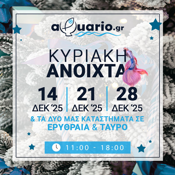 Ενυδρεία – Εξοπλισμός Ενυδρείων