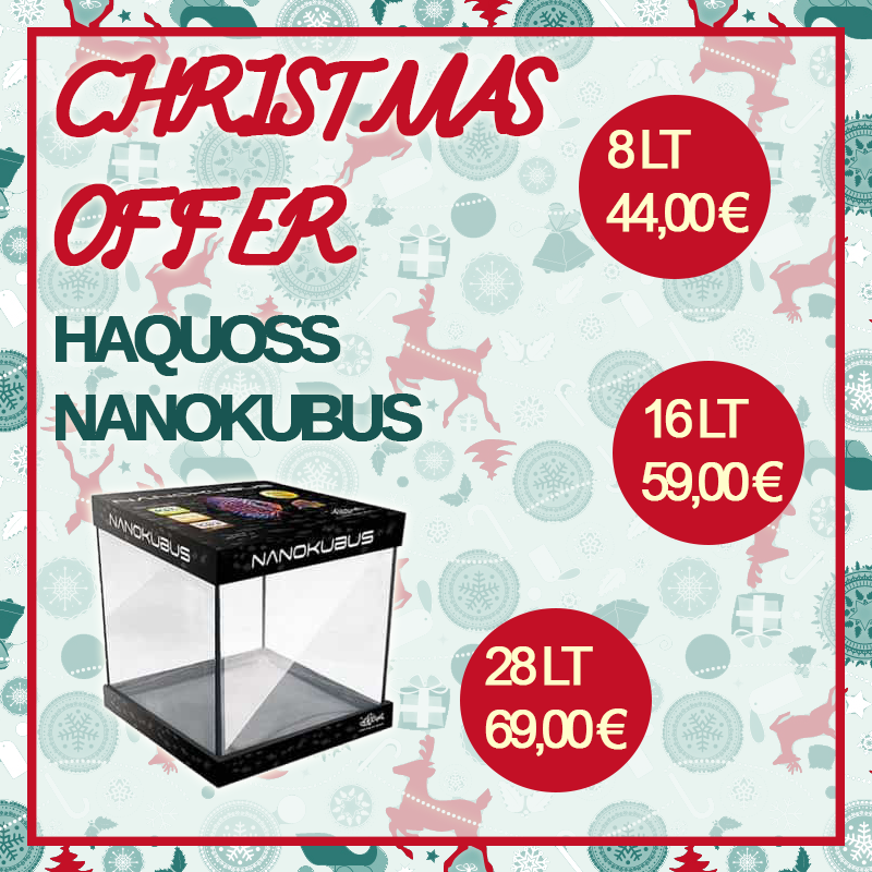 Ενυδρεία – Εξοπλισμός Ενυδρείων