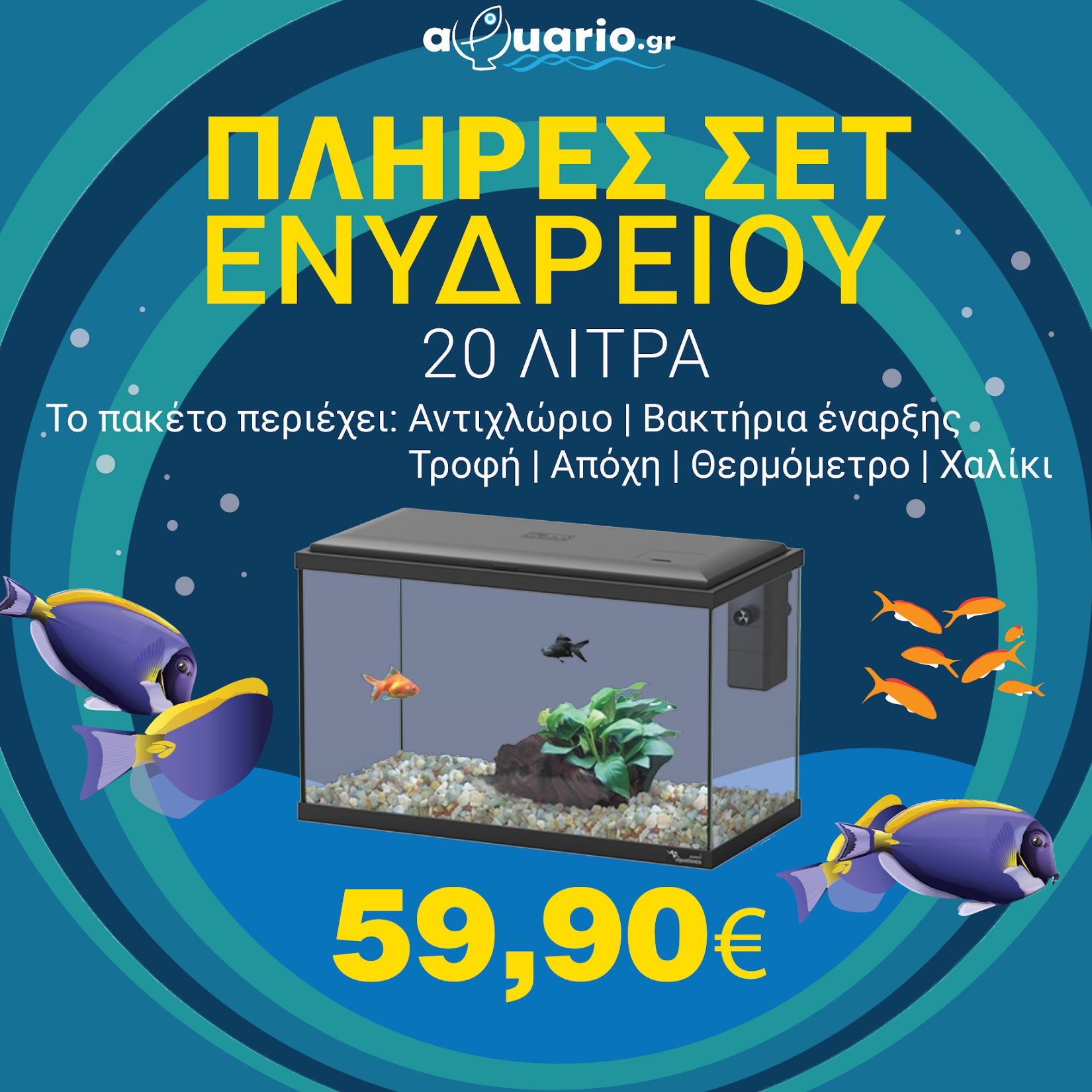 Ενυδρεία – Εξοπλισμός Ενυδρείων