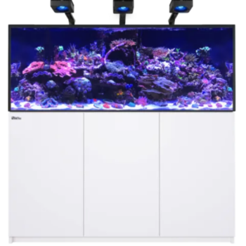 Red Sea Reefer 625 G3 Deluxe - White (incl. 3 X RL115 & arms)