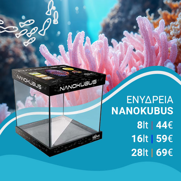 Ενυδρεία – Εξοπλισμός Ενυδρείων