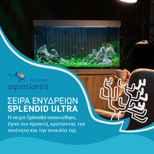 Ενυδρεία – Εξοπλισμός Ενυδρείων