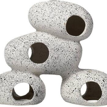 Chicos Stone Snapper Canned Series 16x9.5x13