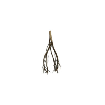 Ceramic Nature Talawa Wood Per Piece