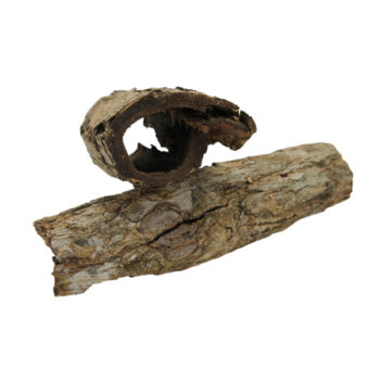 Nature4Pets Catappa Bark Tube