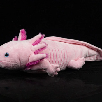 Green Pleco Axolotl Pink plush