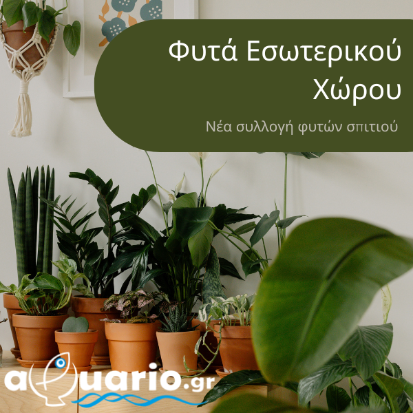 Ενυδρεία – Εξοπλισμός Ενυδρείων